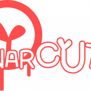 Anarcute RU VPN Required Steam CD Key