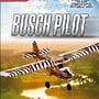 Aviator - Bush Pilot Steam CD Key - Image 2