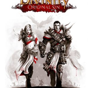 Divinity: Original Sin Enhanced Edition GOG CD Key