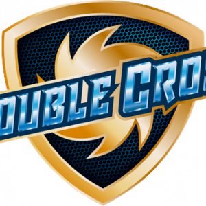 Double Cross Steam CD Key