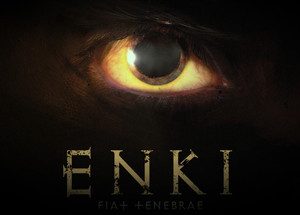 Enki Steam CD Key