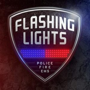 Flashing Lights - Police Fire EMS Steam CD Key