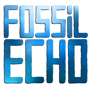 Fossil Echo Steam CD Key