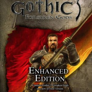 Gothic 3: Forsaken Gods Enhanced Edition Steam CD Key