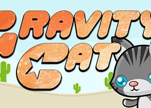 Gravity Cat Steam CD Key