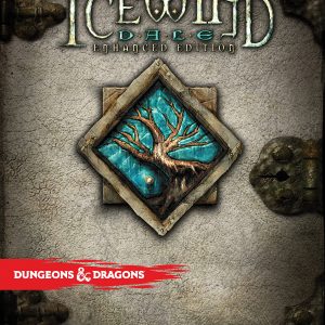 Icewind Dale: Enhanced Edition Steam CD Key