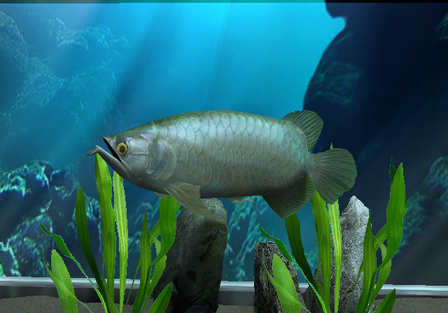 Megaquarium Steam CD Key