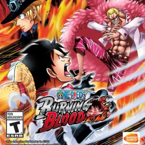 One Piece Burning Blood Steam CD Key