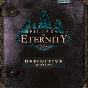 Pillars of Eternity Definitive Edition Steam CD Key