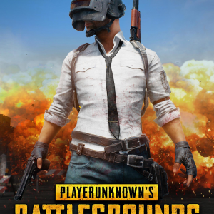 PLAYERUNKNOWN'S BATTLEGROUNDS Steam CD Key