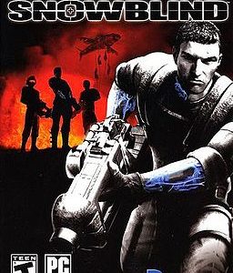 Project Snowblind Steam CD Key