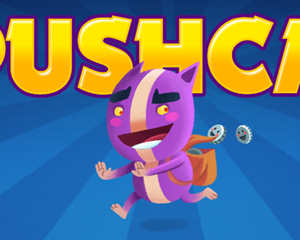 Pushcat Steam CD Key