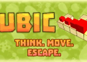 QUBIC Steam CD Key
