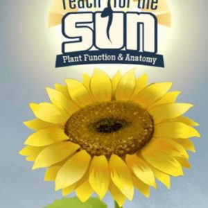 Reach for the Sun Steam CD Key