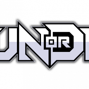 Run or Die Steam CD Key
