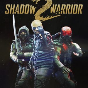 Shadow Warrior 2 EU Steam CD Key