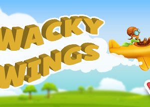 Wacky Wings VR Steam CD Key