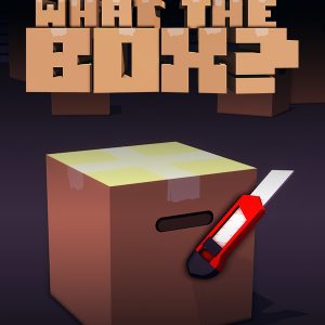What The Box? Steam CD Key